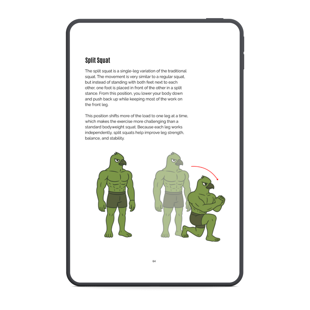 The No Gym Starter System