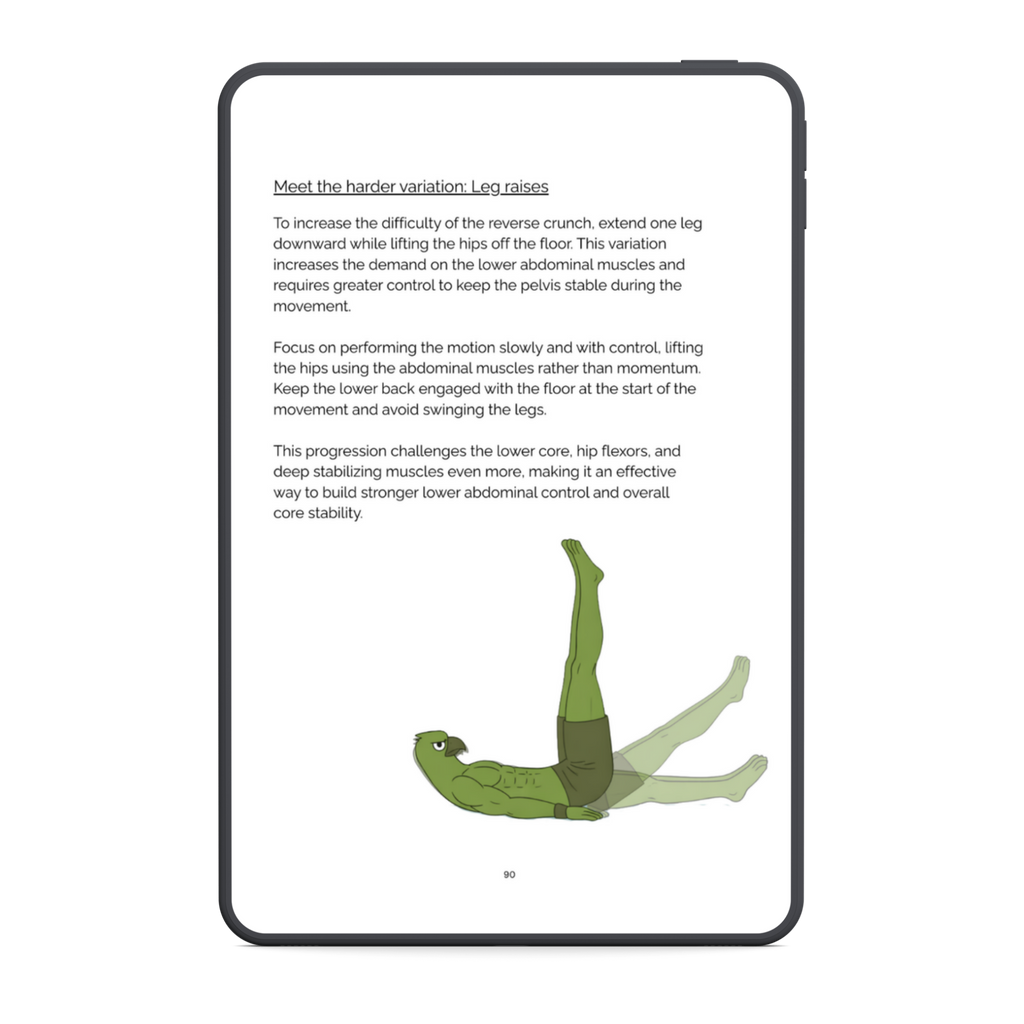 The No Gym Starter System