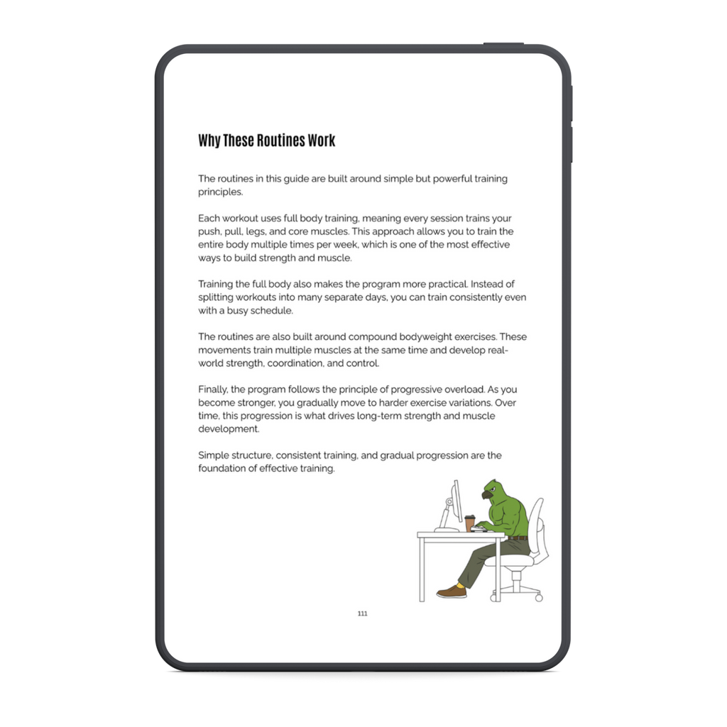 The No Gym Starter System