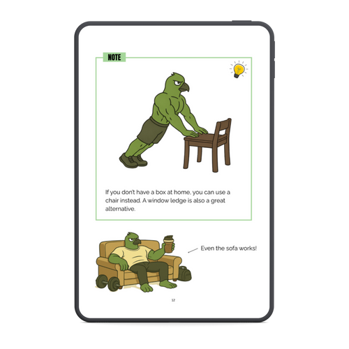 The No Gym Starter System