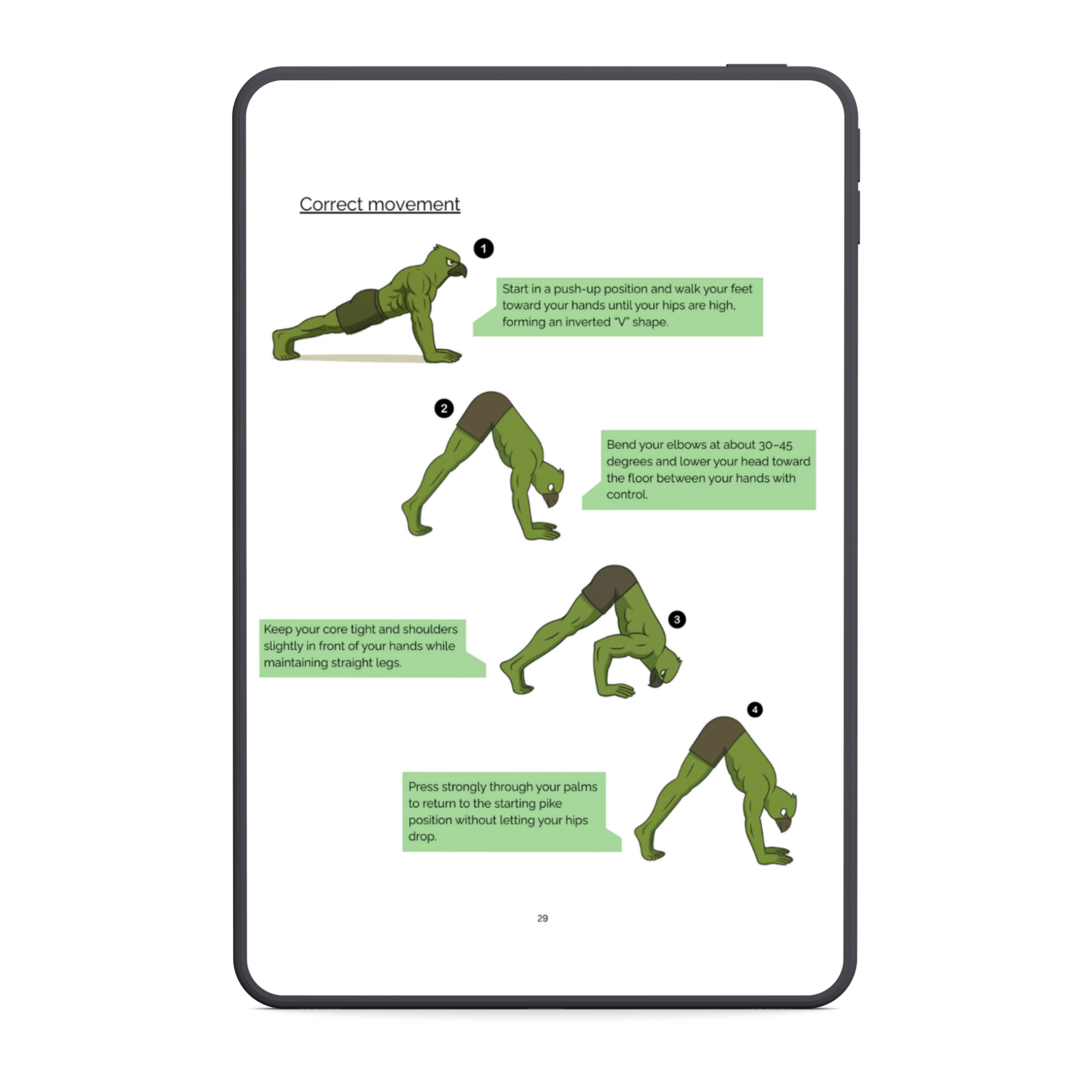 The No Gym Starter System